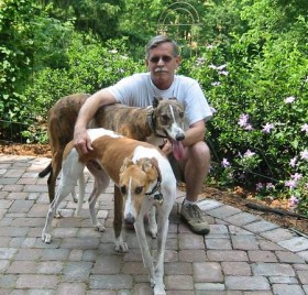 adoption 2007