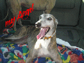 my angel Joey