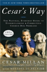 Cesars way