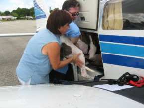 freedom flight #3