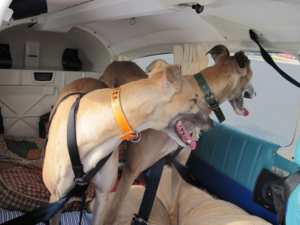 freedom flight #4