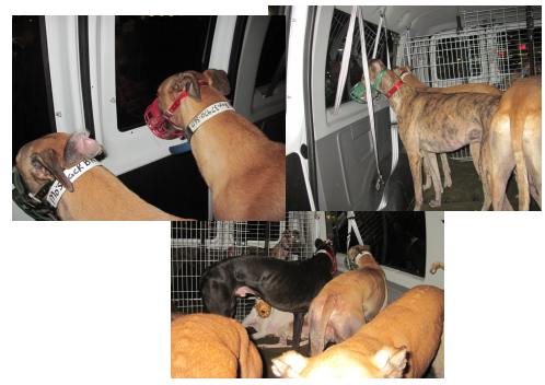 freedom ride sept 6,2010