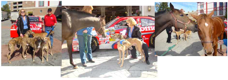 media event hosted by the Tony Stewart Foundation